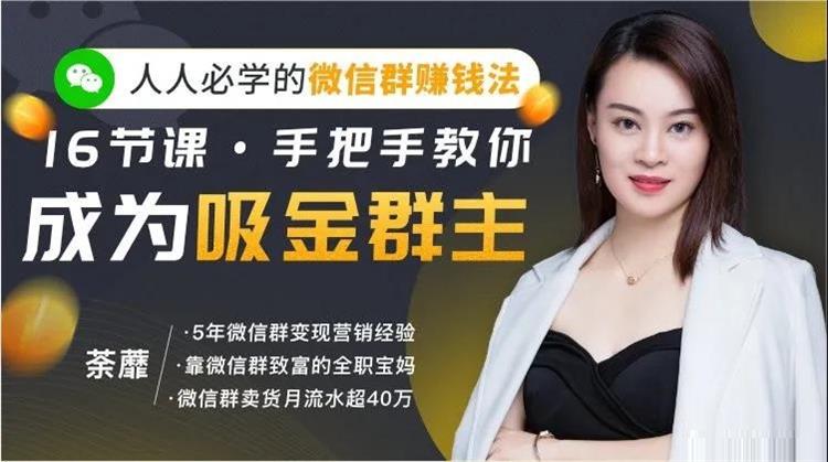 荼蘼《 人人必学的微信群赚钱法》
