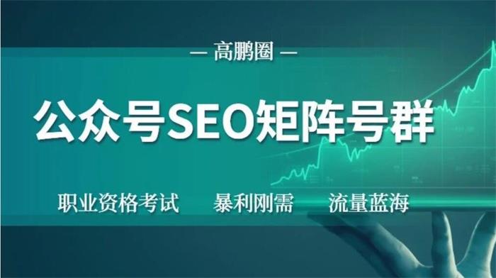 高鹏圈《公众号SEO矩阵项目》课程封面.jpg