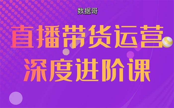 数据哥《直播带货运营深度进阶课》