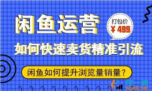 胜子老师闲鱼运营：如何快速卖货精准引流.jpg