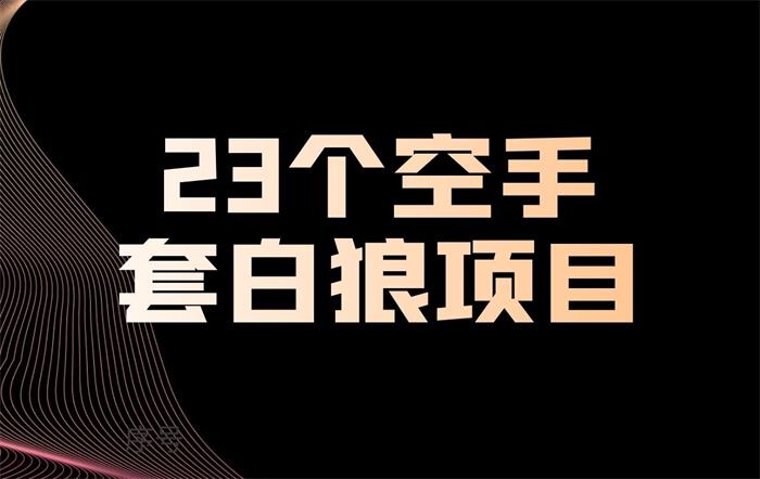 23个空手套白狼项目大合集封面图.jpg