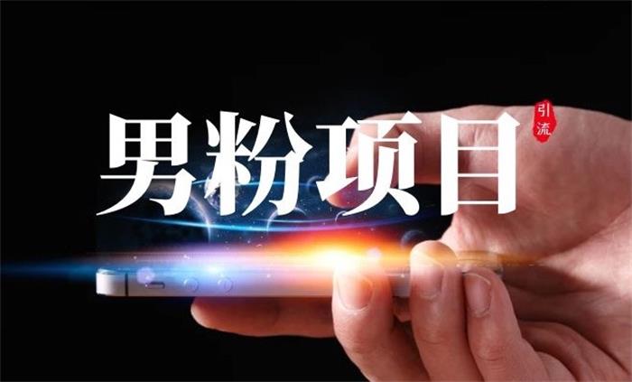 道哥说创业《男粉自动成交4.0》
