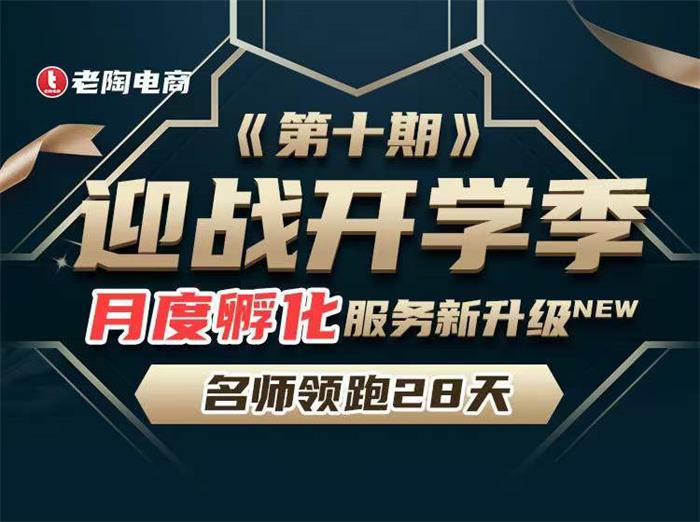 老陶《拼多多名师领跑28天第10期》封面.jpg