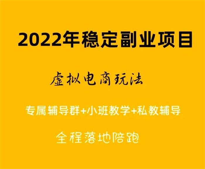 九京《淘宝虚拟电商蓝海项目》封面.jpg