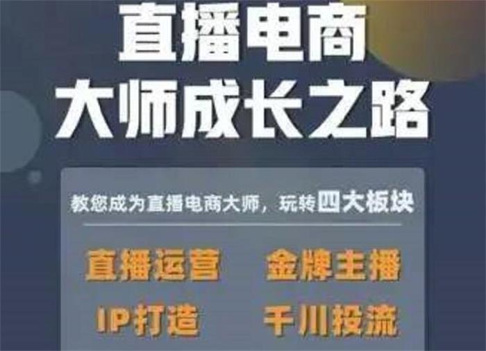 木子运营《直播电商大师成长之路》封面.jpg