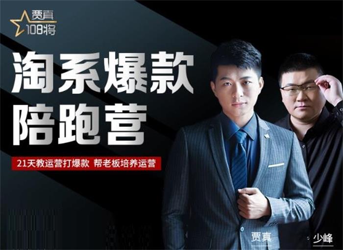 贾真《淘系爆款陪跑营》封面.jpg