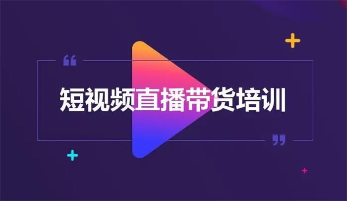 财老师《短视频带货爆单运营》课程封面.jpg