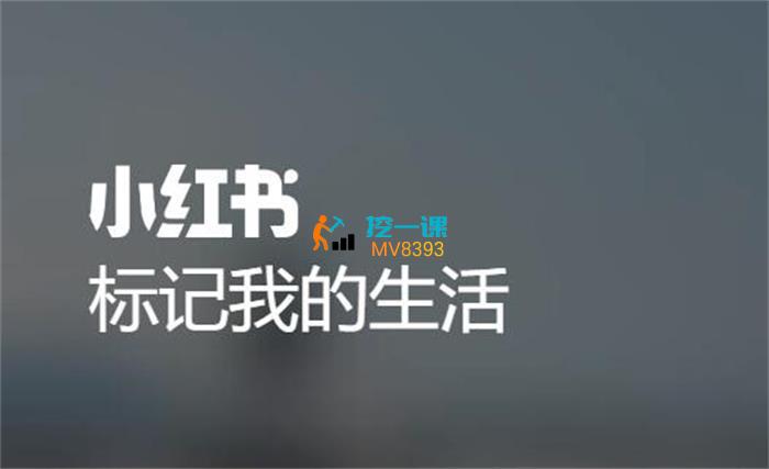 梨云《小书红商业变现营》课程封面