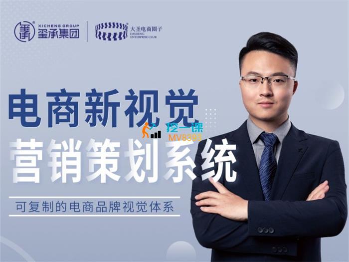 大圣《电商新视觉营销策划系统》课程封面.jpeg