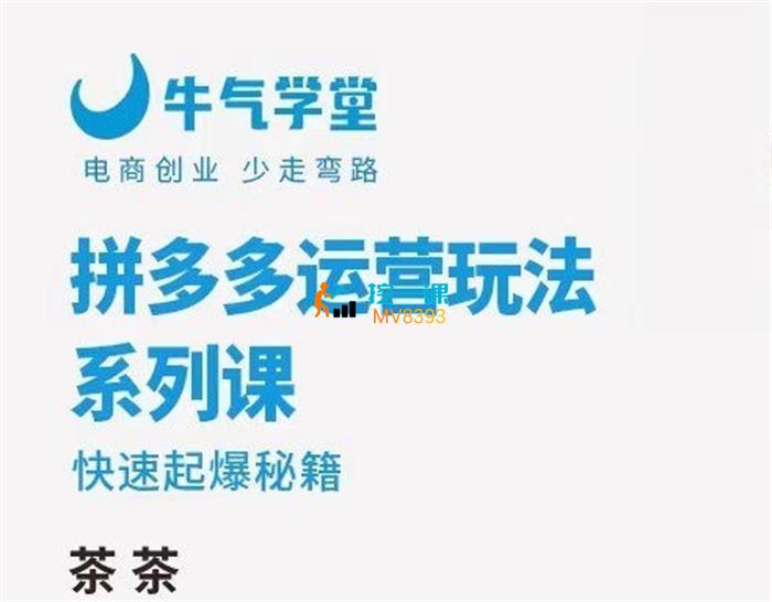 茶茶《拼多多快速起爆秘籍运营系列课》_看图王.jpg
