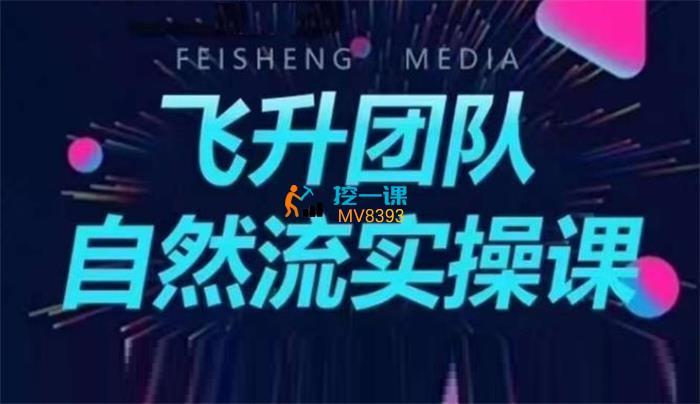飞升团队《自然流实操课》封面.jpg