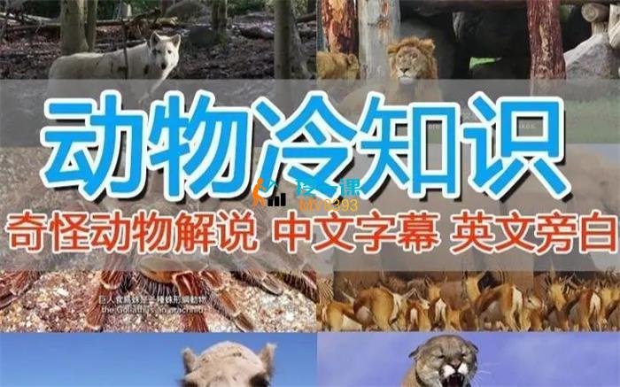 匿名《国外纪录片解说》课程封面.jpg