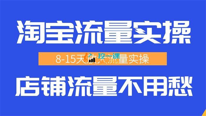 扫地僧大飞《淘宝流量实操进阶课》封面.jpg