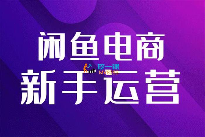 铁逸潇《闲鱼电商新手开店运营课》封面.jpg