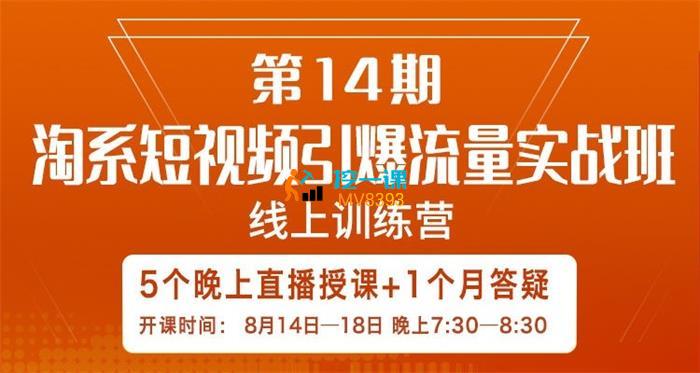 辛言《淘系短视频引爆流量实战班第14期》课程封面.jpg