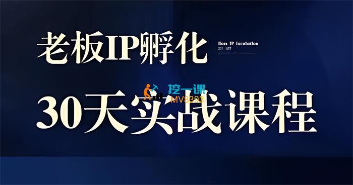 诸葛《2023老板IP实战课》封面图.jpg