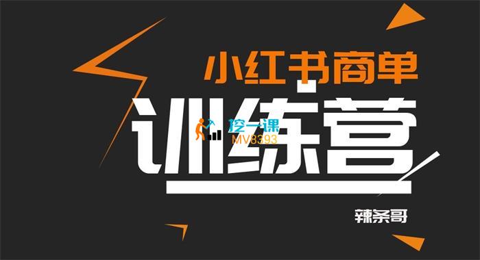 辣条哥《小红书商单训练营》课程封面.jpg