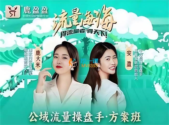 鹿盈盈《公域流量操盘手》课程封面.jpg