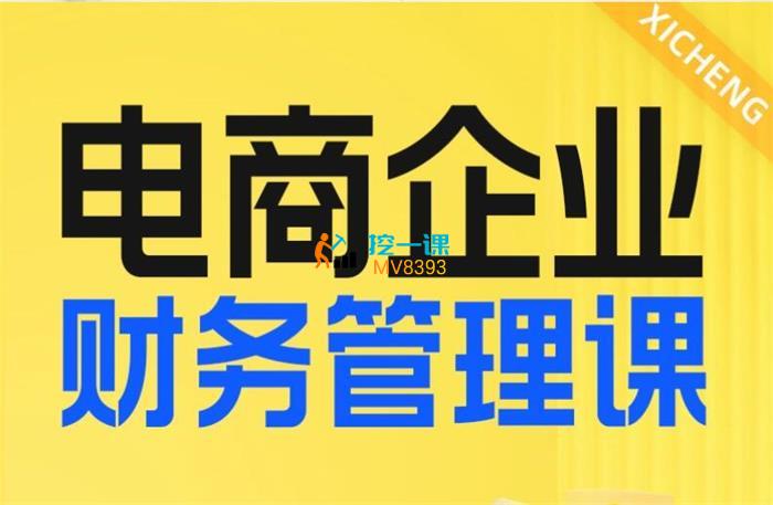 天鹏《电商企业财务管理线上课》封面.jpg