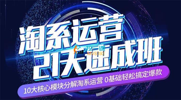 白凤电商《淘系运营21天速成班》