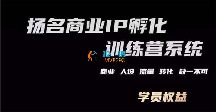 王扬名《商业IP孵化训练营新版》封面.jpg