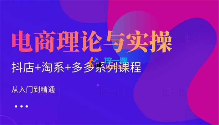 磊子《电商理论与实操》_封面图.jpg