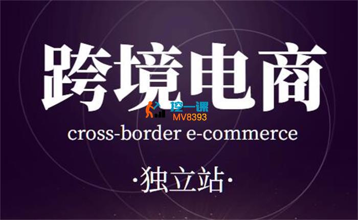 跨境小哥《独立站搭建和流量优化》_封面图.jpg