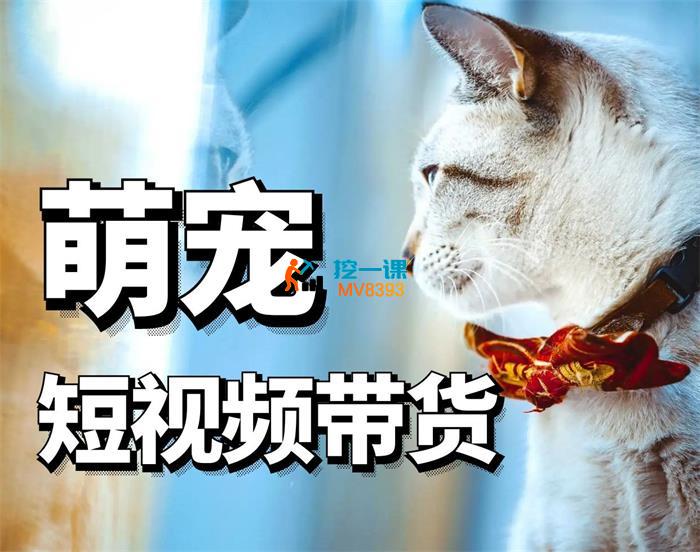 东哲《萌宠短视频带货》_封面图.jpg