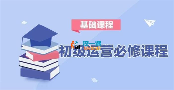 乐拼商学院《京东初级运营必修课程》