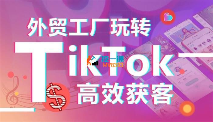 淼森《外贸工厂玩转TikTok高效获客》