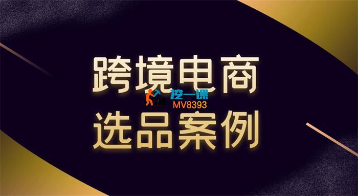 阿甘《跨境电商选品案例》