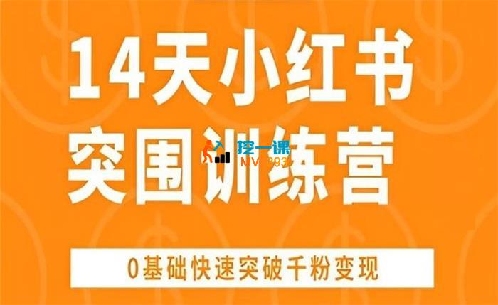 王多维《14天小红书突围训练营》