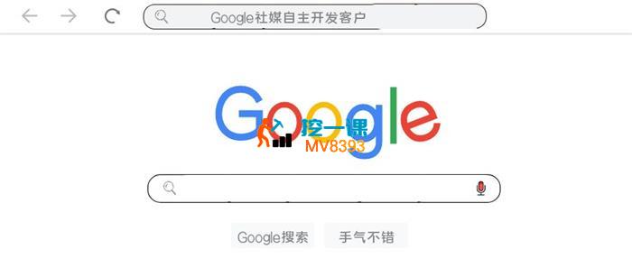 疯狂外贸《Google精准客户开发》