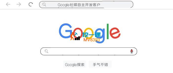 老林《Google社媒自主开发客户》