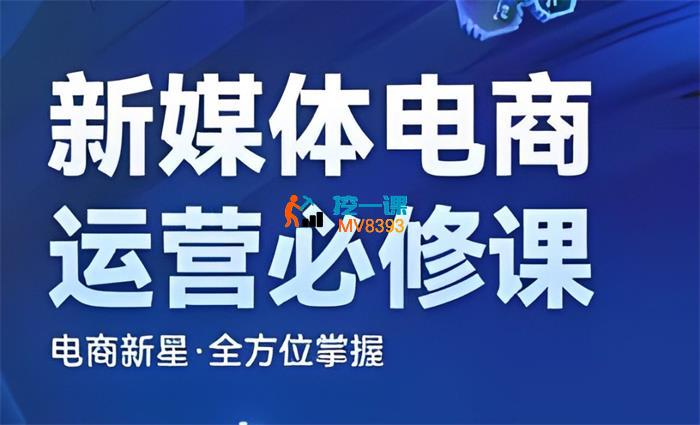 大帅《抖音电商运营必修系列课》