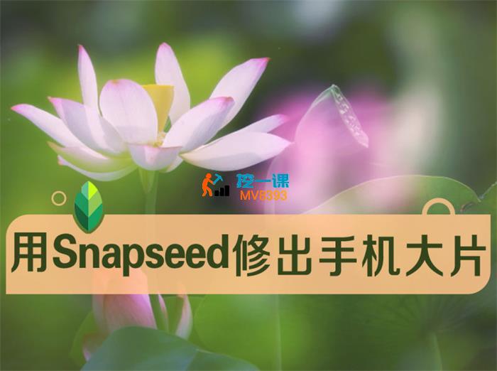 好机友《修出赞爆朋友圈的手机摄影大片》_封面图.jpg