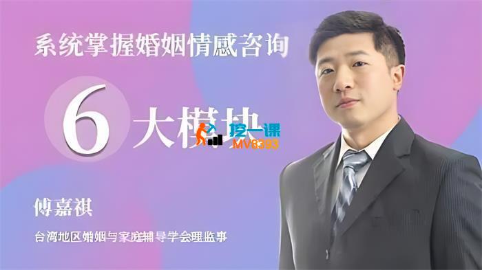 傅嘉祺《系统掌握婚姻情感咨询》_封面图.jpg