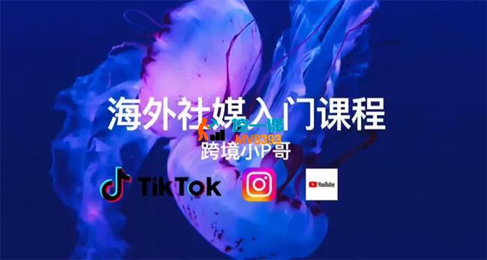 跨境小P哥《海外社媒运营课》_封面图.jpg