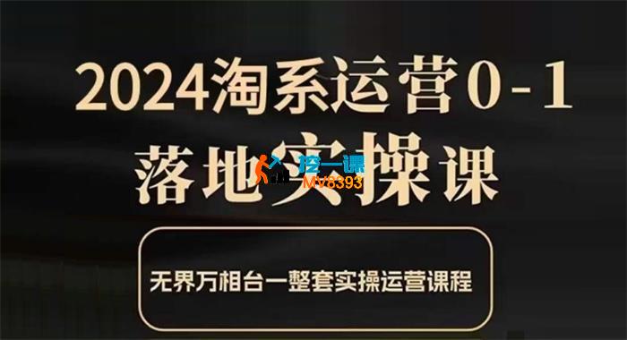老肥《淘系从0-1线上课31节课》