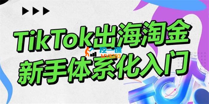 大彬《TikTok出海淘金》_封面图.jpg