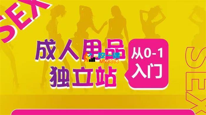 York《成人用品独立站从0-1入门》_封面图.jpg