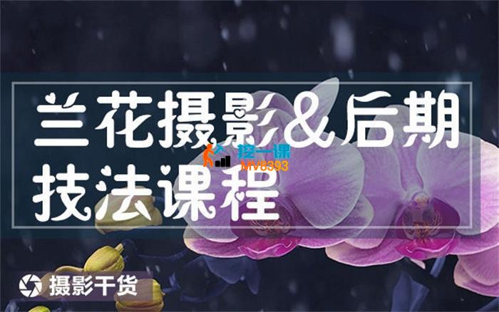 朱建华《兰花摄影后期技法》_封面图.jpg