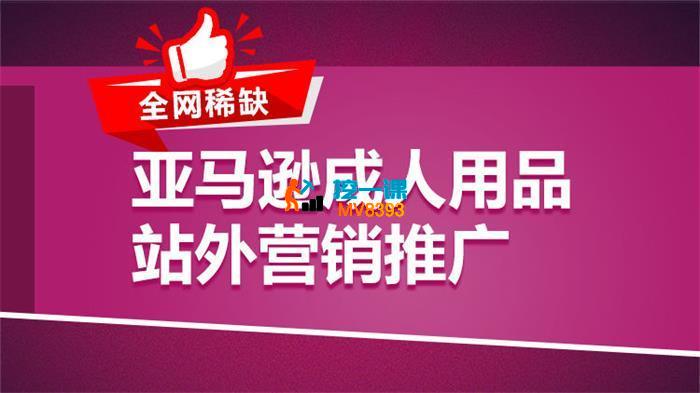 Winniea《亚马逊成人用品站外营销推广》_封面图.jpg