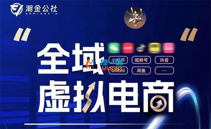 潮金公社《全域虚拟电商4.0》_封面图.jpg