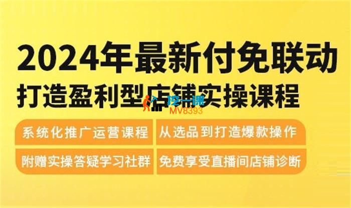 震宇《2024最新付免联动打造盈利型店铺实操课》_封面图.jpg