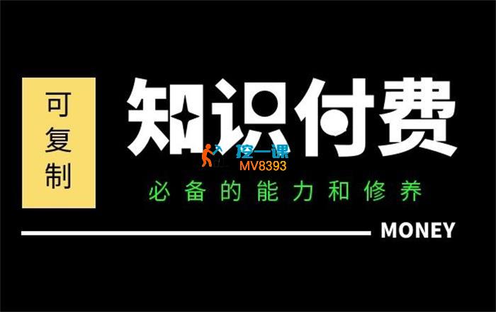 君哥《IP合伙人知识付费虚拟项目》_封面图.jpg