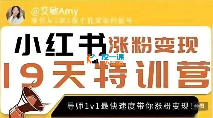 艾敏《19天小红书涨粉变现特训营》_封面图.jpg