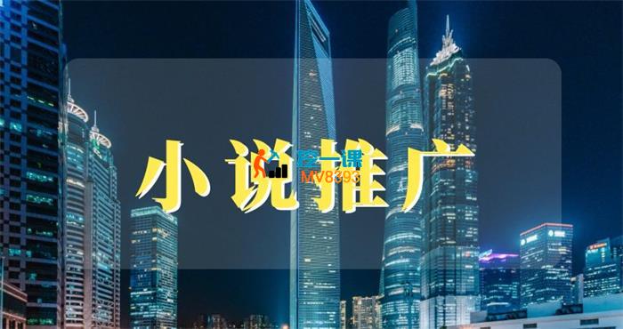 洲洲《小说推广快速变现营》_封面图.jpg
