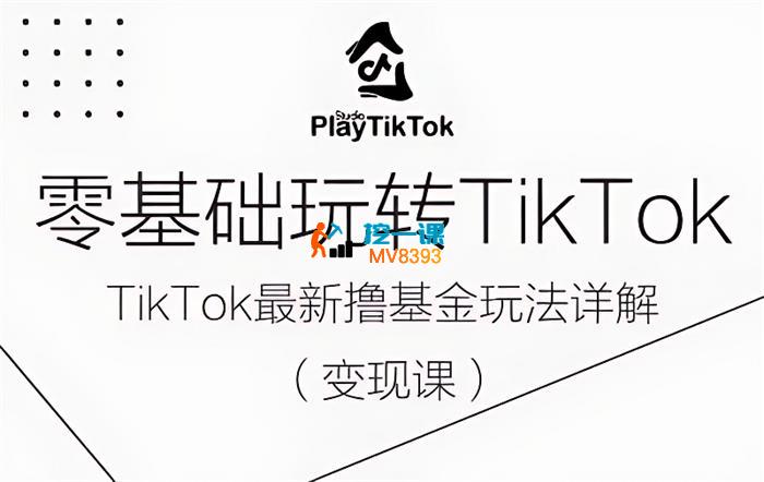 SHAWN《零基础玩转TiKToK变现课》