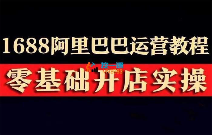 爱上电商的女人《阿里巴巴小白0基础到运营》_封面图.jpg